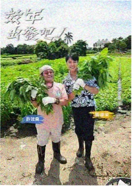 一路向西北 综艺海报